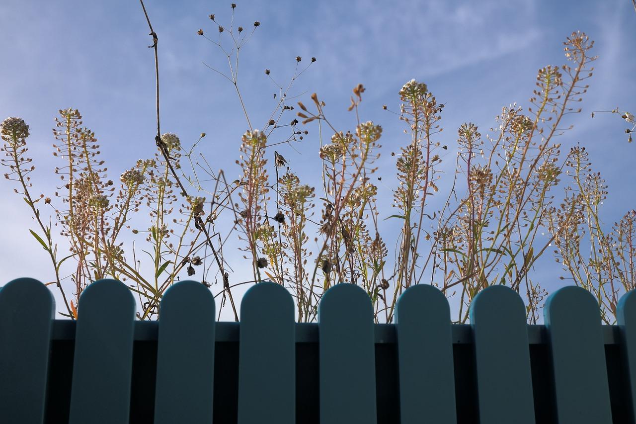 2. 高邮房价走势