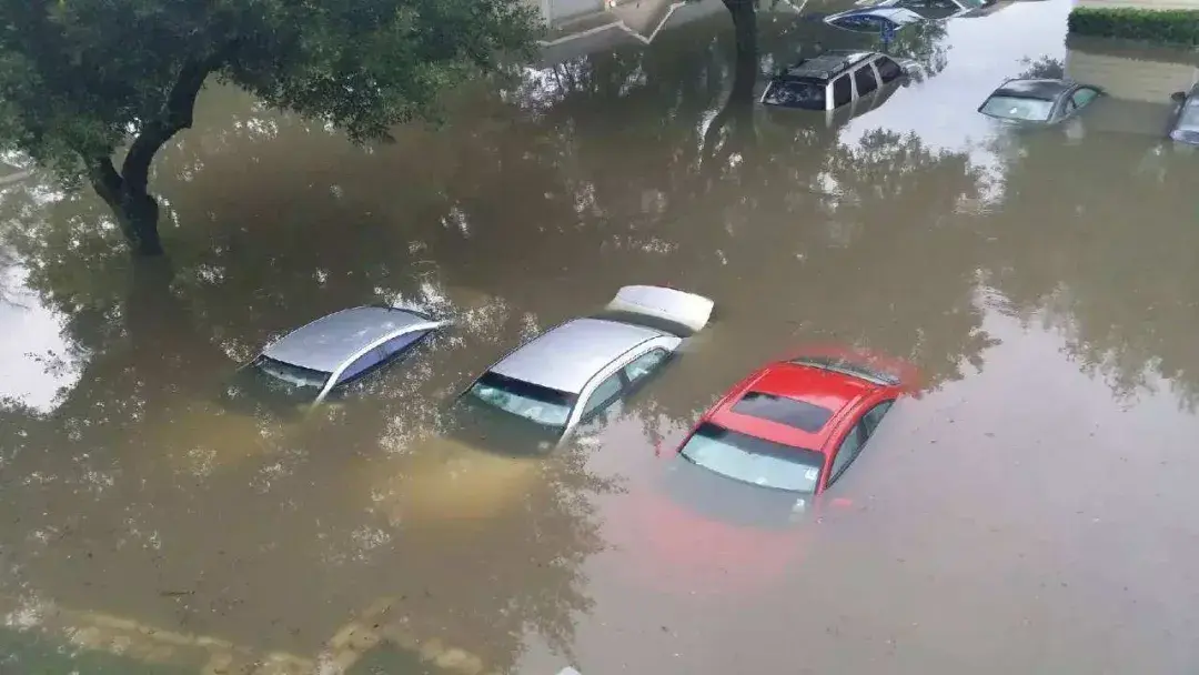 洪灾中受伤了,车子受损了,保险赔吗?