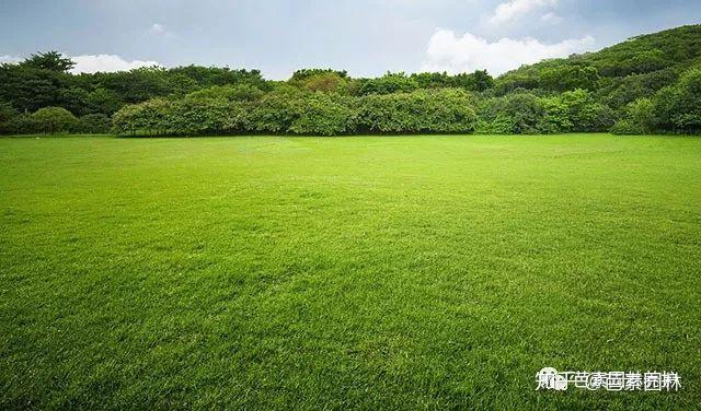 2025-2027年中国草坪音响行业投资前景及策略咨询报告