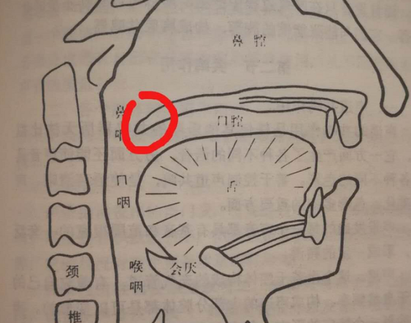 鼻音重如何纠正