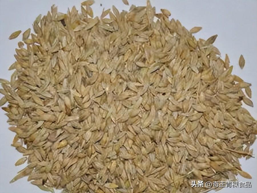 西藏青稞的种植顺应自然、环保无污染 - 知乎