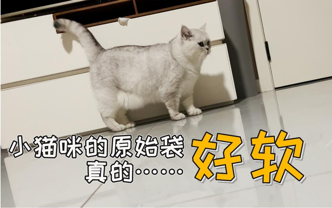 猫咪原始袋长什么样子