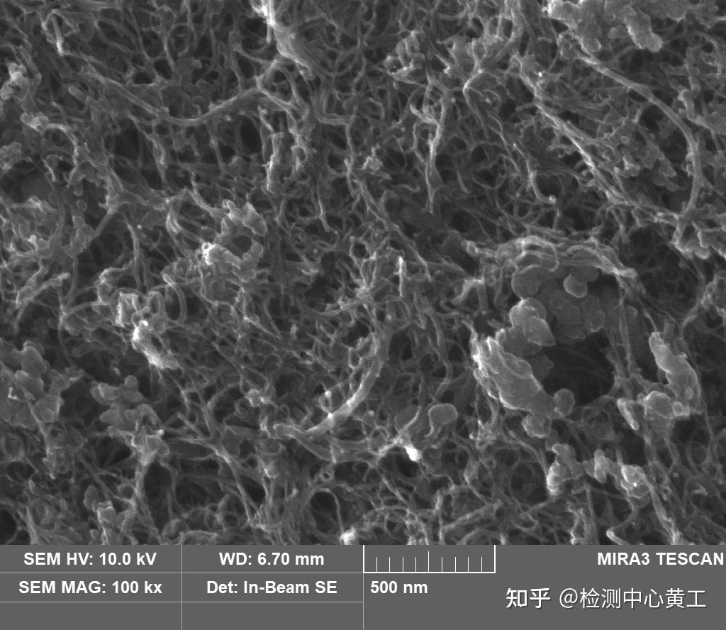 碳纳米管扫描电镜图片图片