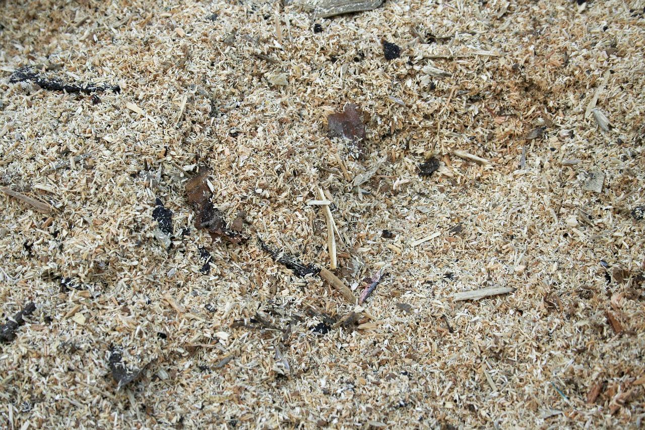 3. 锯末炭最新报价