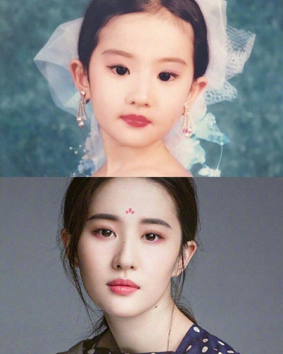 怎么没人按刘亦菲的样子去整容