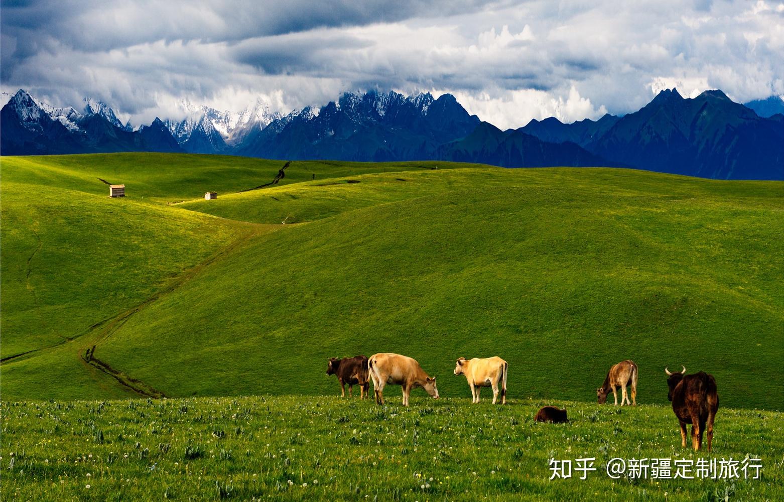 北疆环准噶尔盆地旅游攻略(个人见解不代表大众)技术攻略 - 知乎