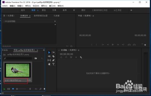 A&e Pr Tutorial ae里面做好的视频怎么导入到pr? - 知乎