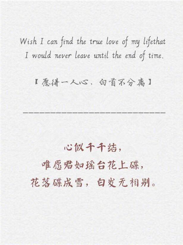 英文翻译中文 网页翻译中文 Pdf翻译成中文的方法汇总 知乎