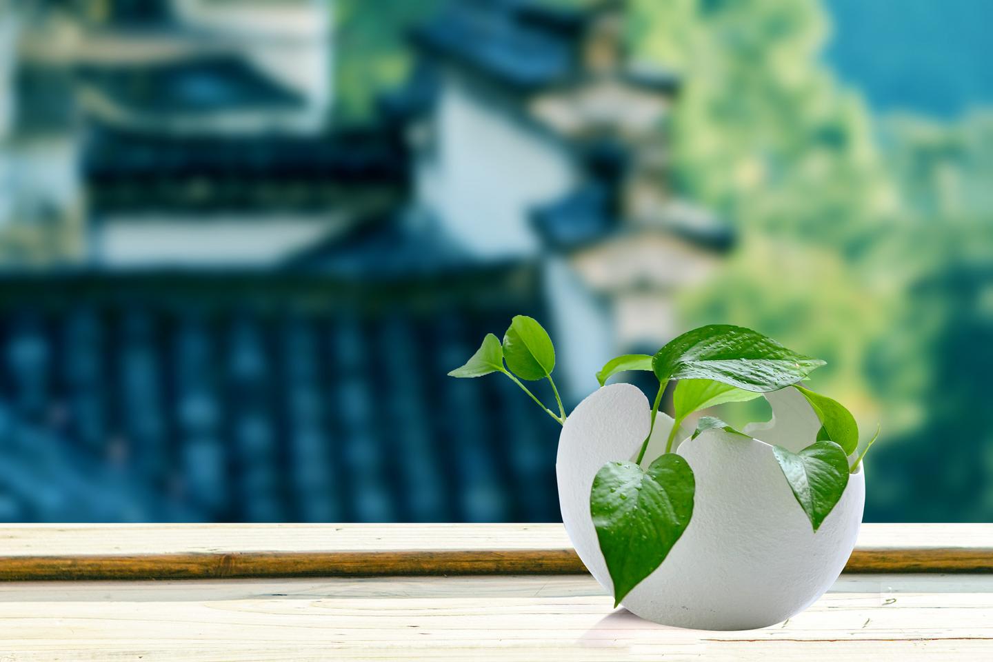 v2-c315a82efd19f6956b6aa4d88f19394c_1440w.jpg?source=172ae18b