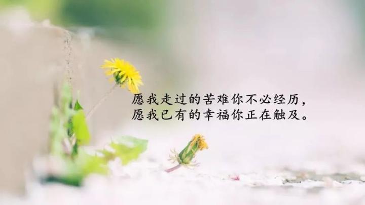 人之所以会心累,就是常常徘徊在坚持和放弃之间。 - 知乎