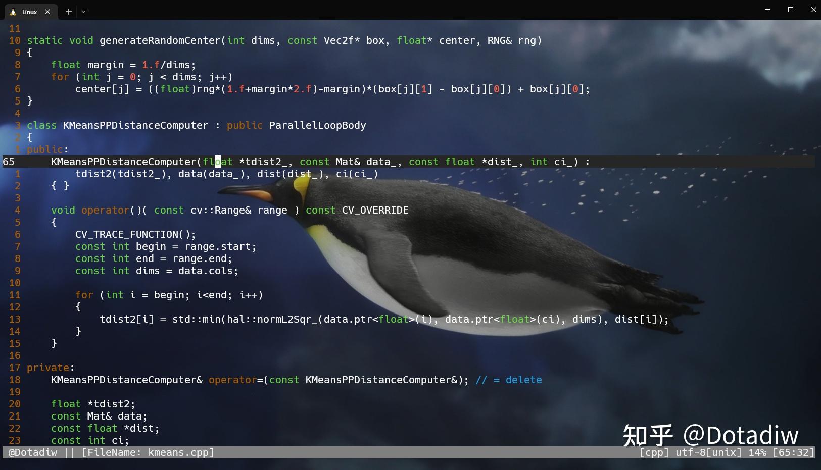 Vim 