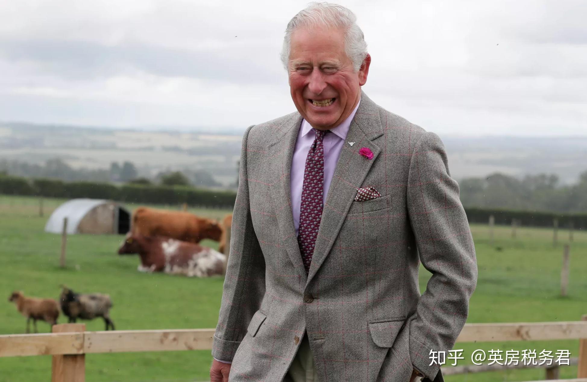 王室风云英国女王准备让位查尔斯磨刀霍霍卖掉庄园威廉王子终究全都是