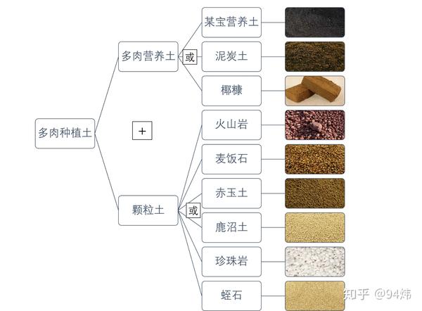 全国宅配無料 玉あて名人/的あて 赤