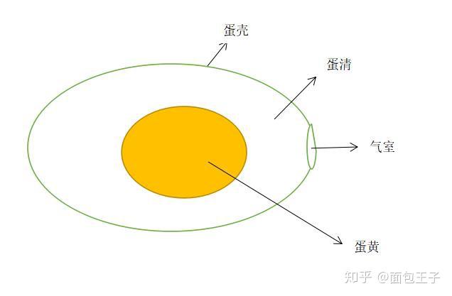 面包美食小知识丨你知道鸡蛋在烘焙中的作用吗?