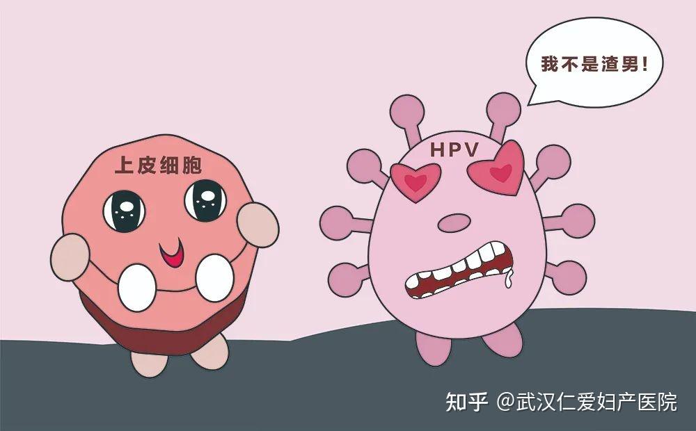 会感染身体不同部位的皮肤粘膜,从而诱发不同的病变,常见的有尖锐湿疣