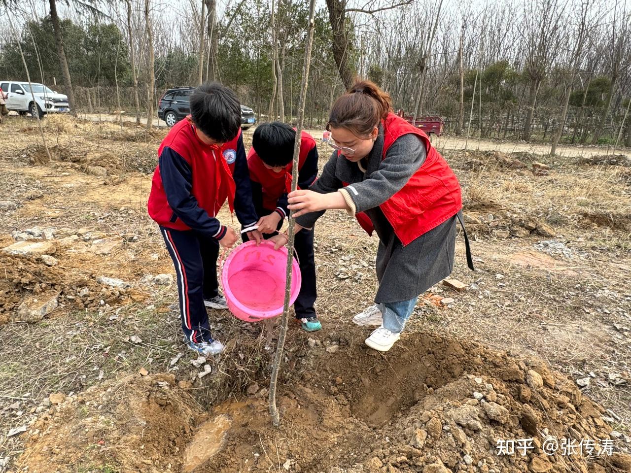 南阳市第42小学开展植树活动