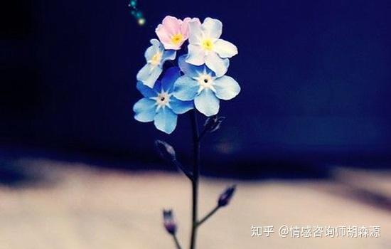 如何判断这段感情该不该挽回 知乎