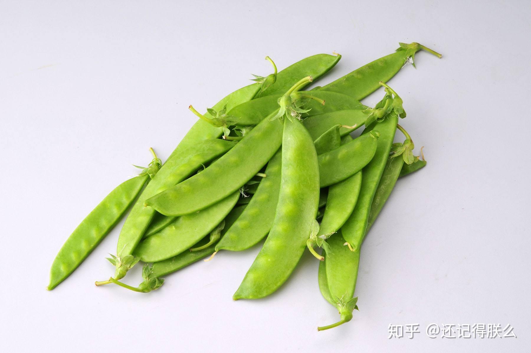 怎么区分荷兰豆和扁豆