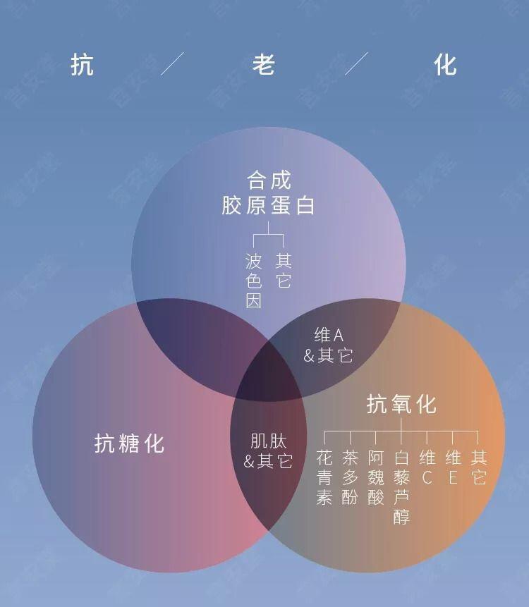 肌肽对人体和与皮肤起到功效与作用