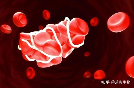 凝血知识你知多少-----凝血因子 - 知乎