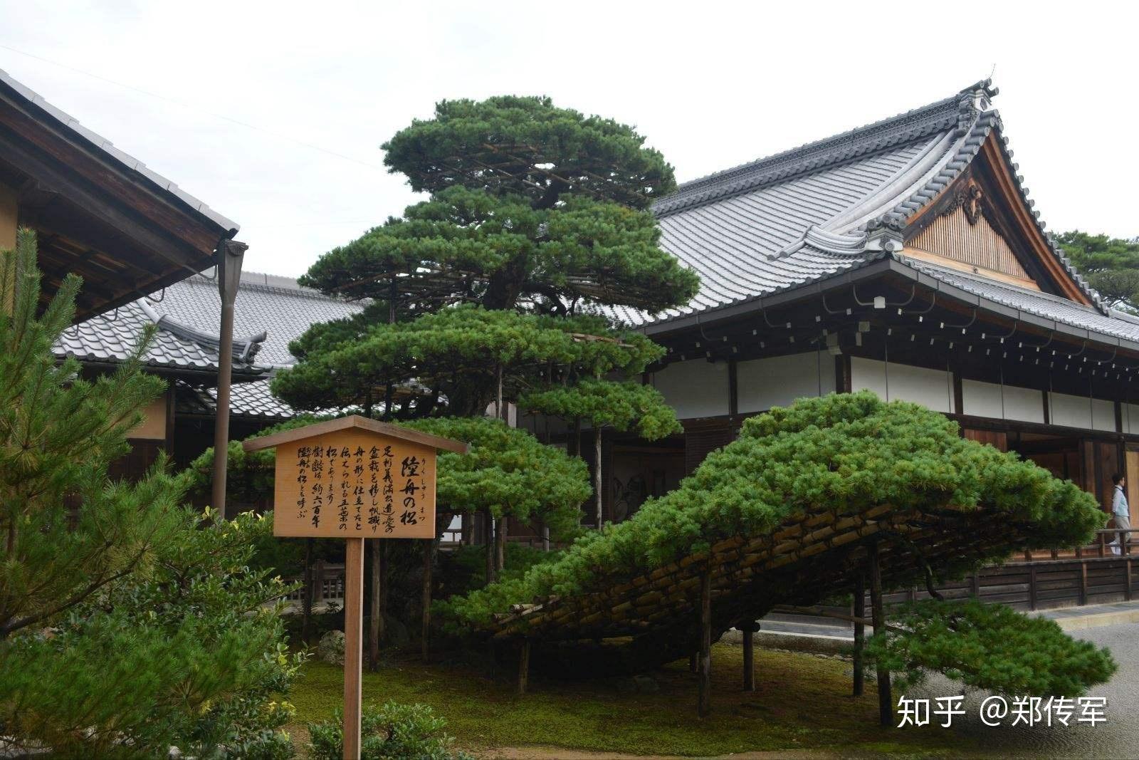 金阁寺里的庭院京都游记