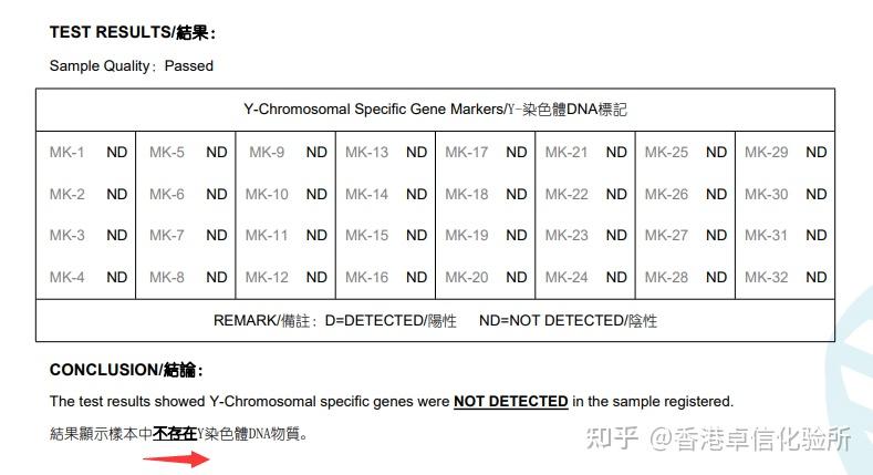 y染色体微缺失报告图图片