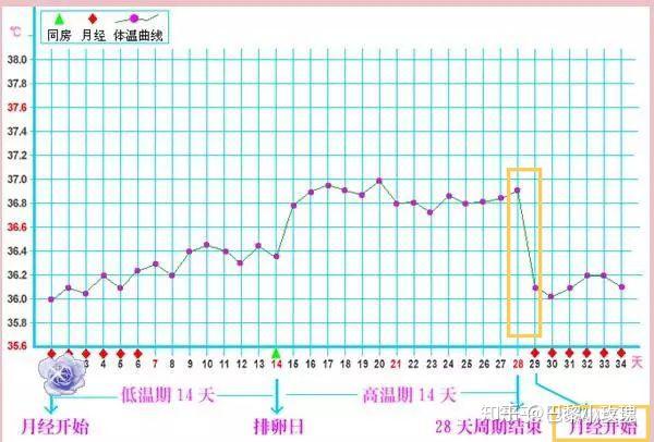 17天了,至今还是测不出怀孕,而且体温还对应网上找来的月经周期体温表