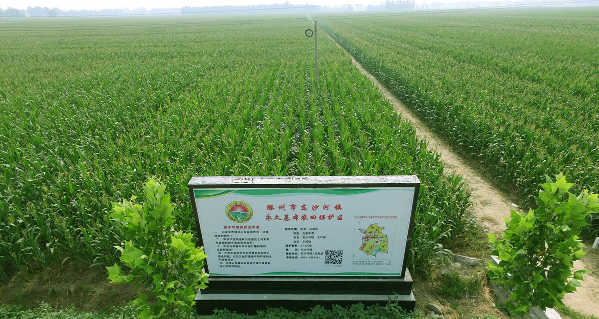 永久基本农田的划定:农民可在基本农田从事多种农业生产