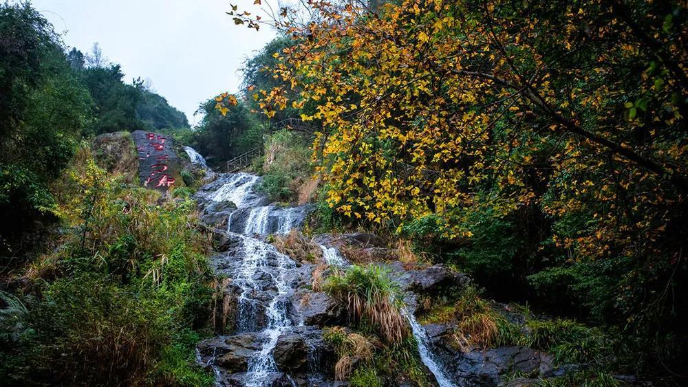 雲髻山是廣東省級自然保護區,主峰海拔1438米,是廣東省最大的水庫