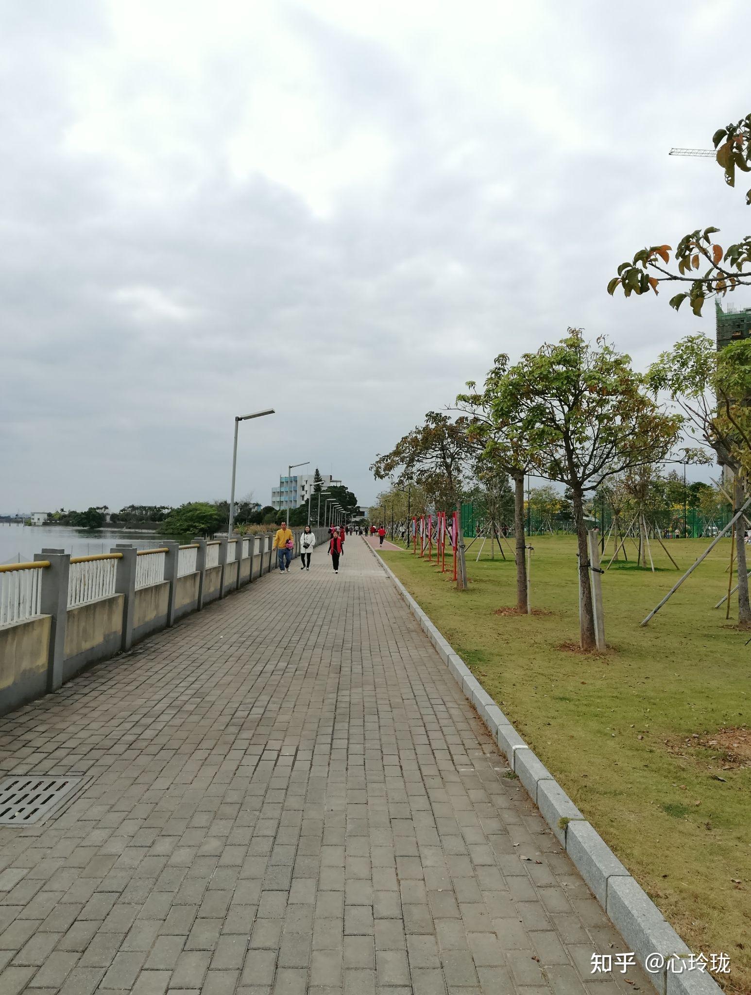 走进江门地区七堡海之行