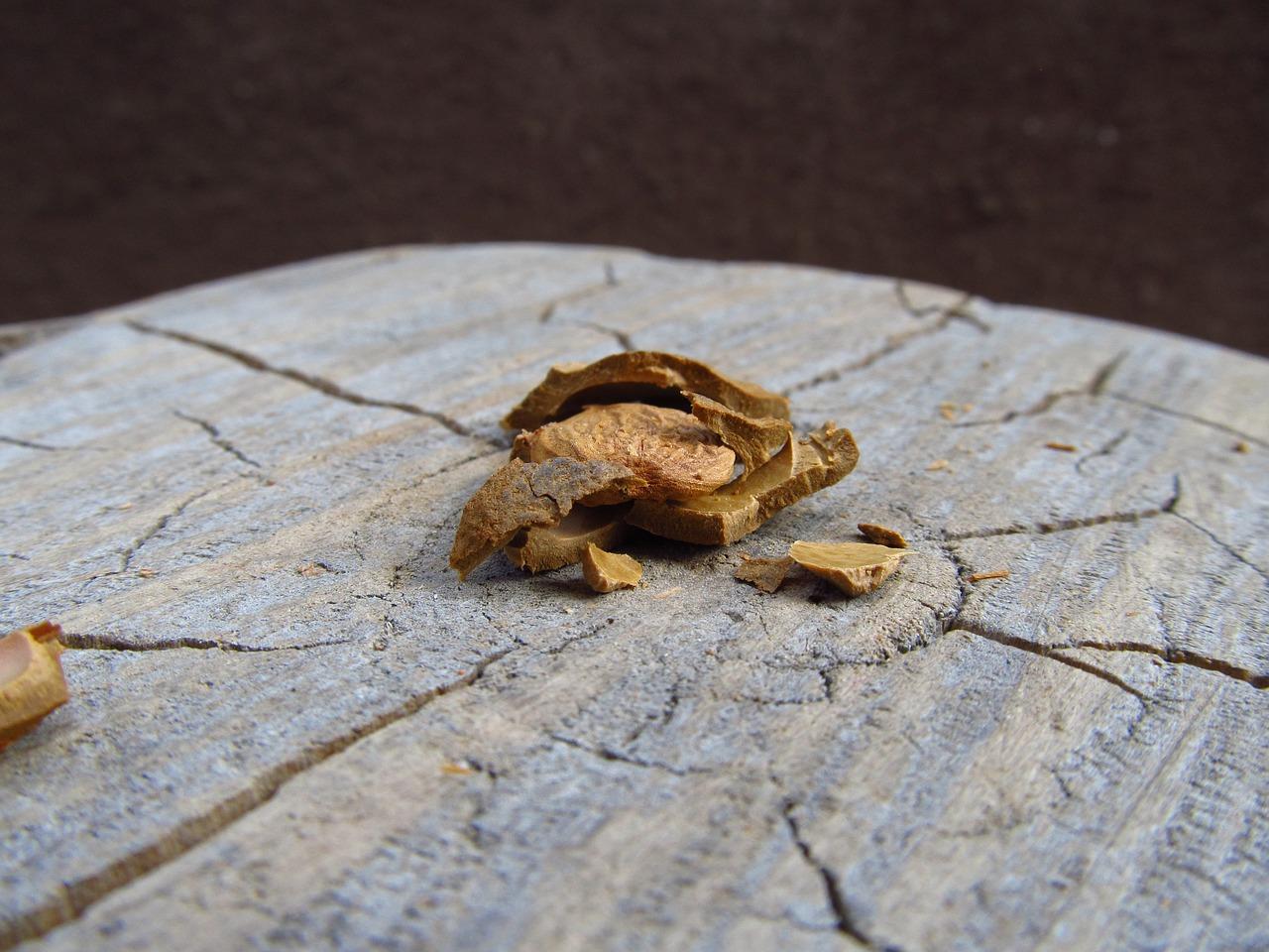 2. 清新饮品新搭配