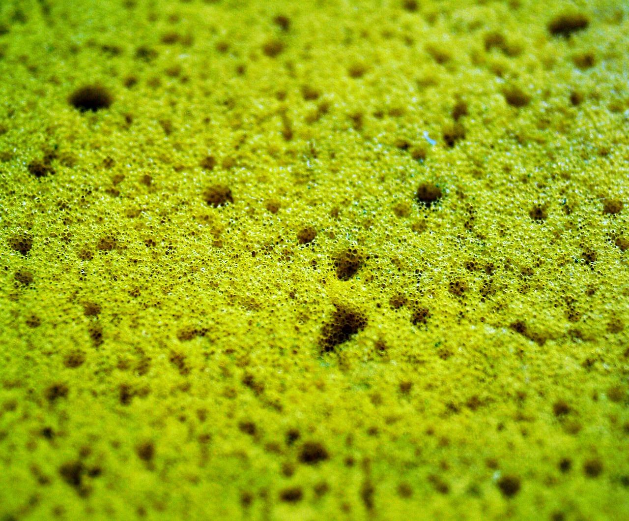 6. 洗脚液品牌评测