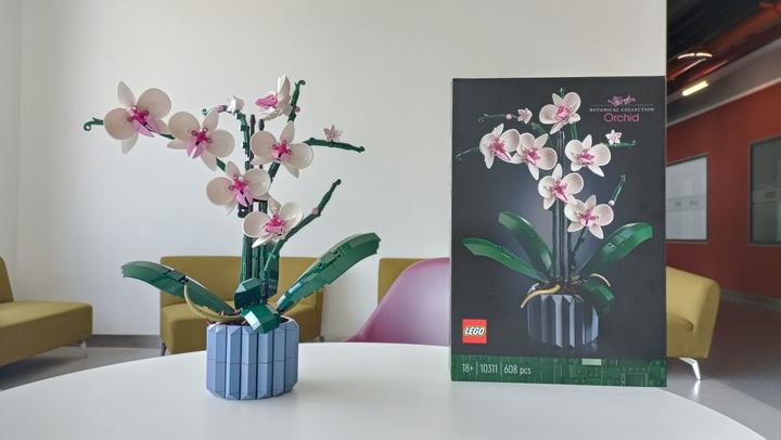 植物系列最佳,不输爆款花束!乐高10311兰花测评 - 知乎