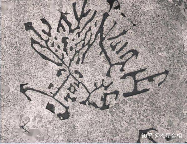 铝及铝合金高清金相图谱 - 知乎