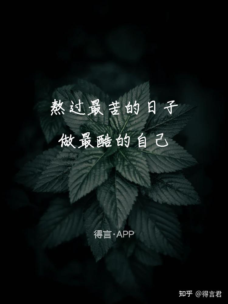 分享一些励志短句