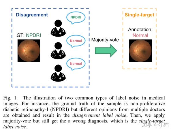 Improving Medical Image Classification with Label Noise Using Dual