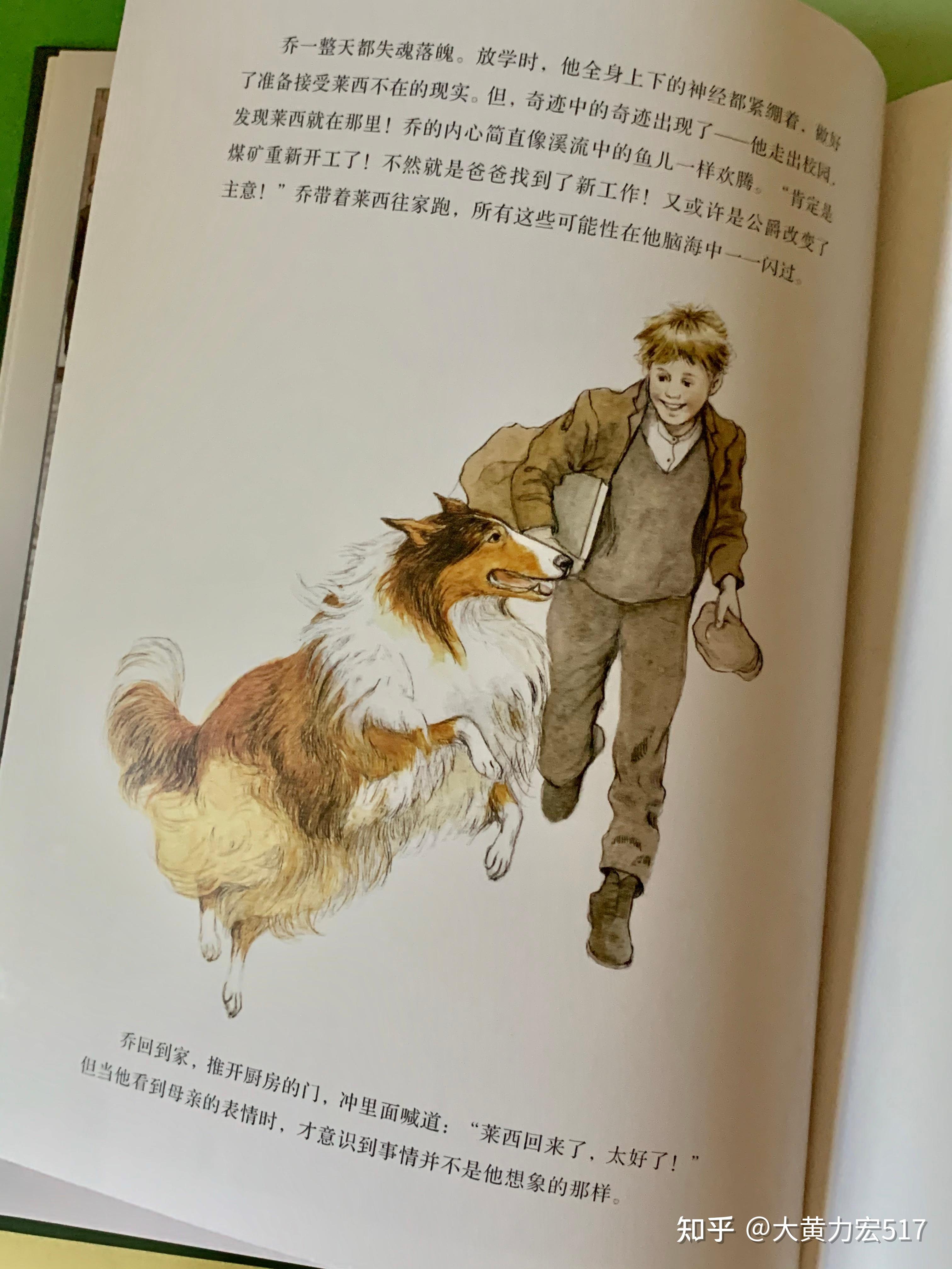 好喜欢这只灵犬莱西 - 知乎