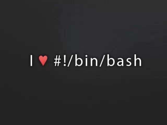 Bash Shell编程入门 知乎