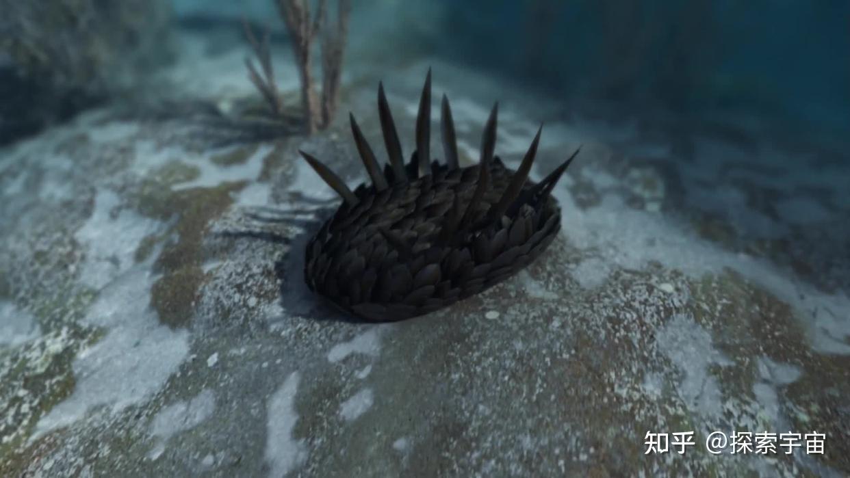 威瓦西虫(wiwaxia)