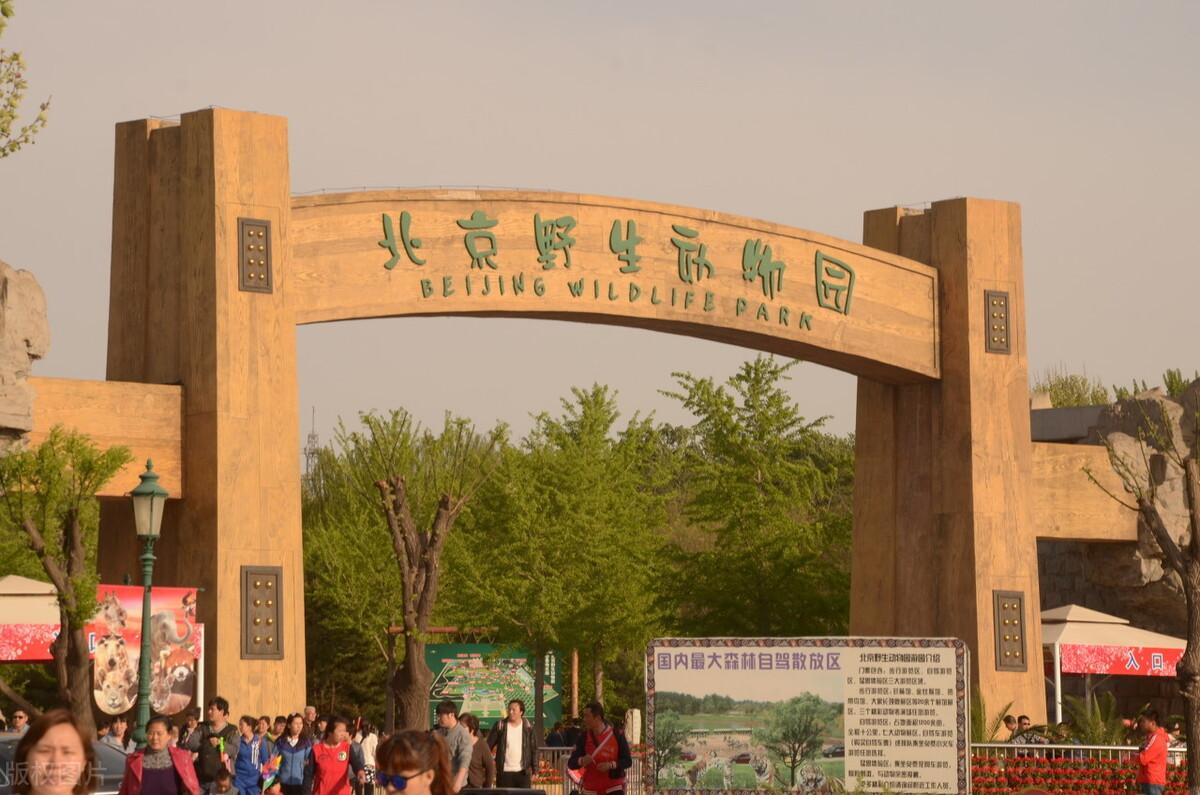 2023郑州市动物园游玩攻略,郑州动物园里的动物其实还挺...【去哪儿攻略】