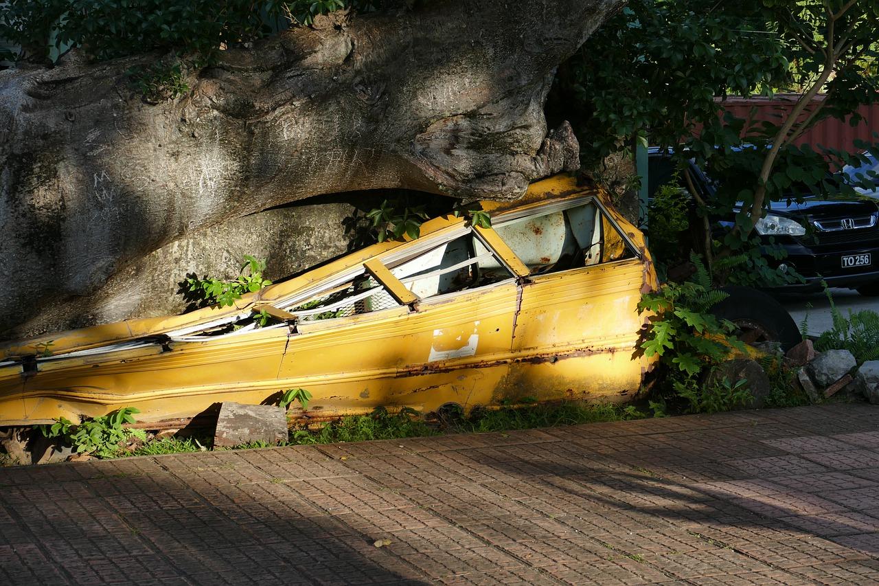 4. 番号资源汇总