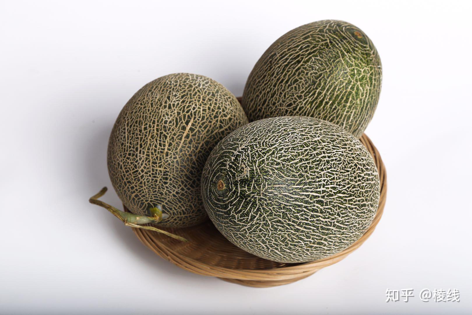 缅甸西周蜜瓜 - 知乎