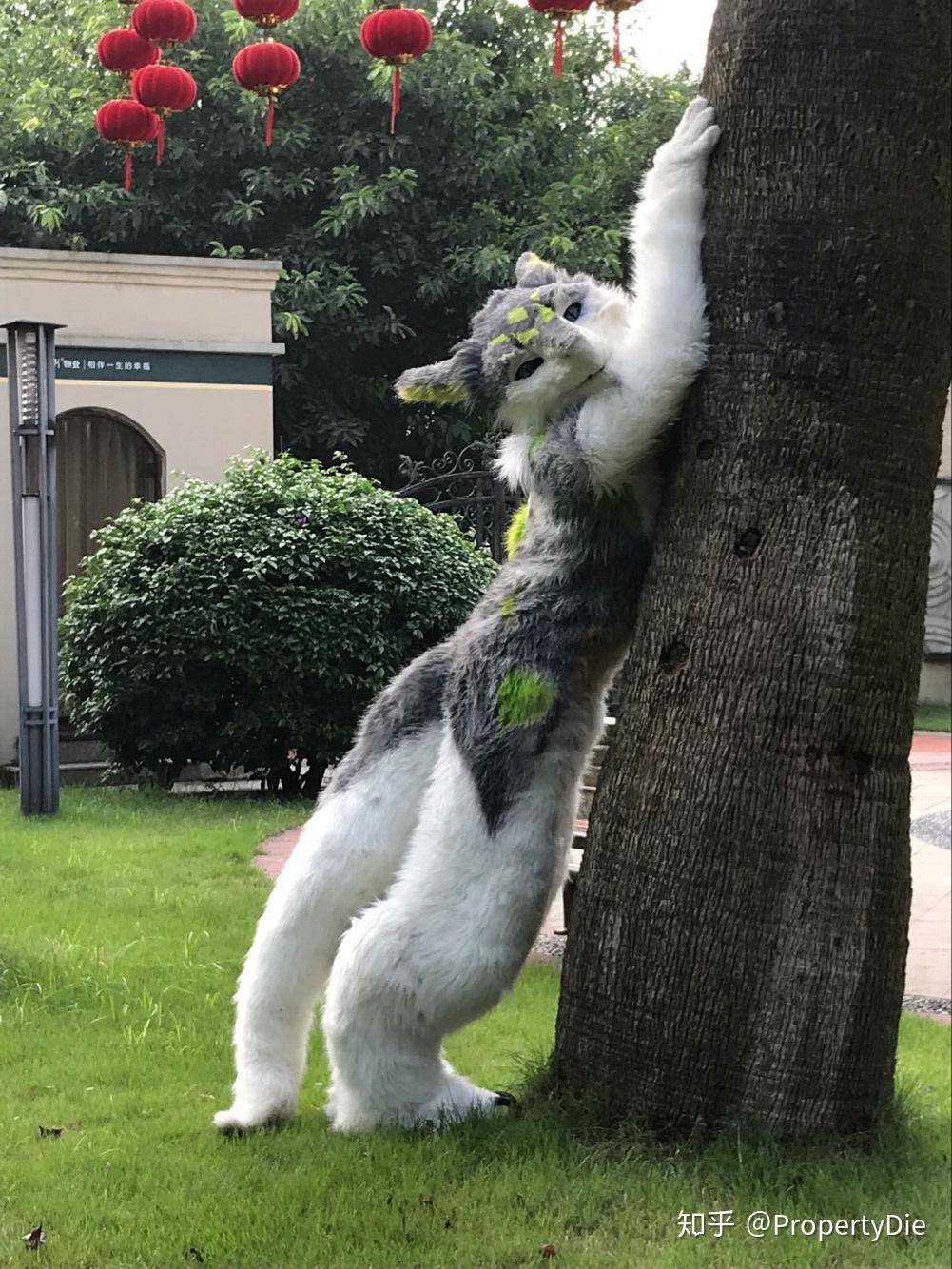 兽迷furry创造了哪些奇特的兽设物种? - 知乎