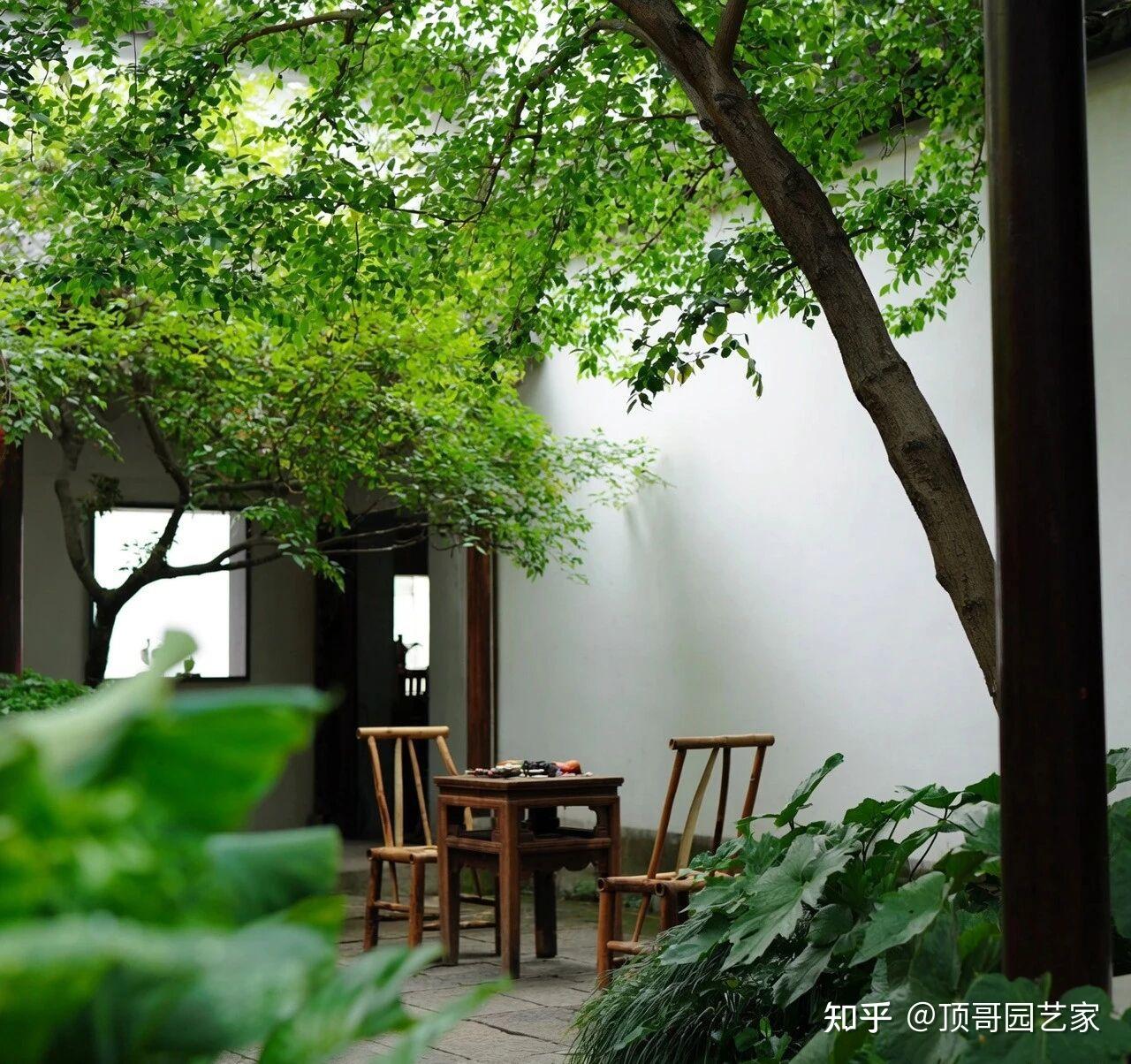 老了才知道,有个能种菜、晒太阳的院子多舒服 - 知乎