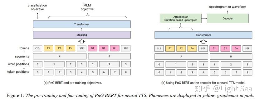 pngbert针对tts的bert预训练模型