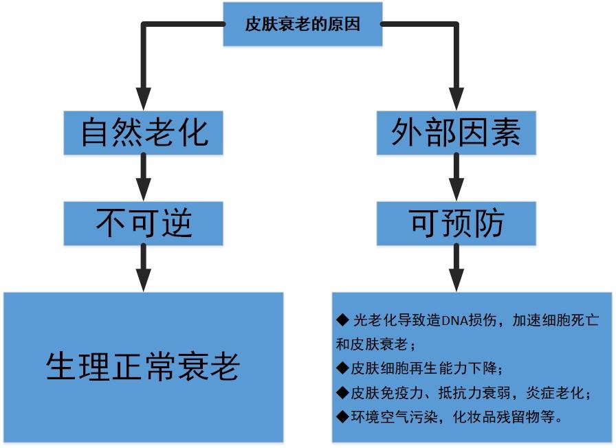 皮肤衰老的原因就这么简单,但抗衰老,就要看您怎么应对了