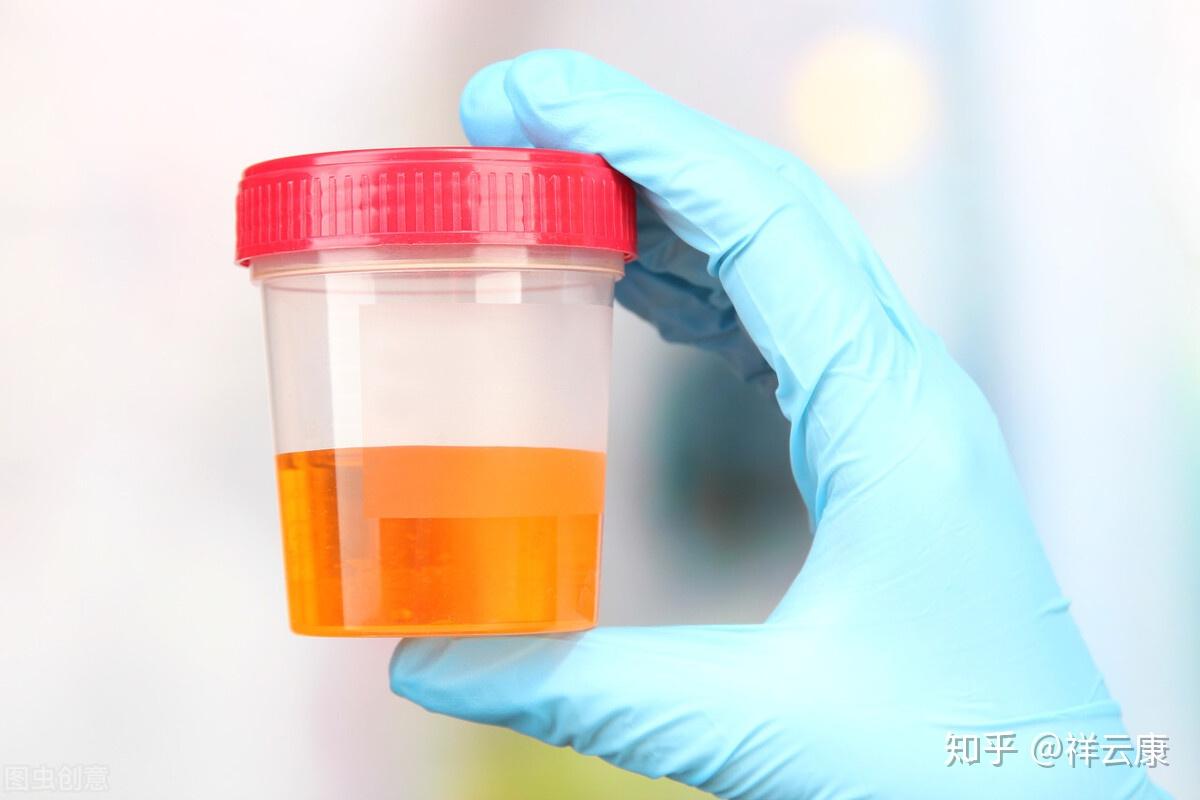 v2-c3ff12e2867dda2282513dd00de2a518_r.jpg
