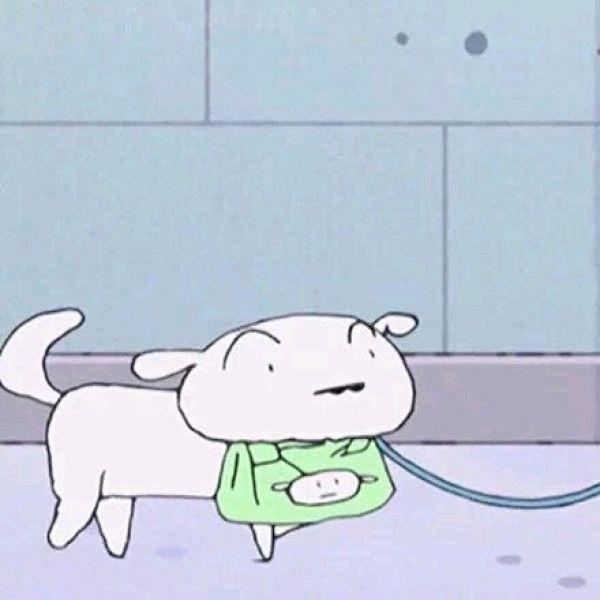 有木有一人一猫的情侣头像哦比如这种感激