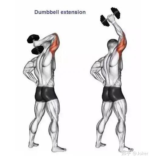 肱三头肌哑铃训练方法有哪些?
