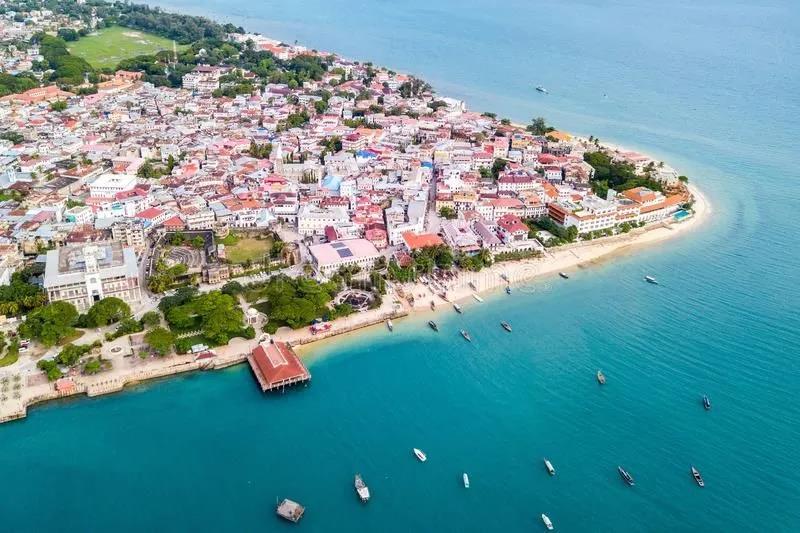 桑给巴尔:原产亚洲的丁香,为何会取代黑奴成为东非小岛的支柱?